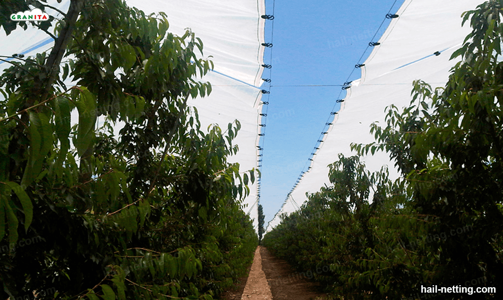 Hail barrier netting