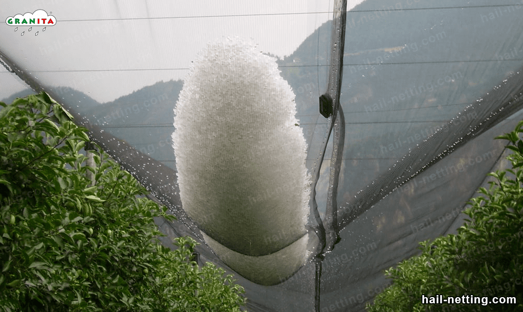 protect your plants from the hail with hail mesh